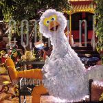 22-05-2000 Sesamstraat caracters at studio in Hilversum.

[keywords]Pino[/keywords]